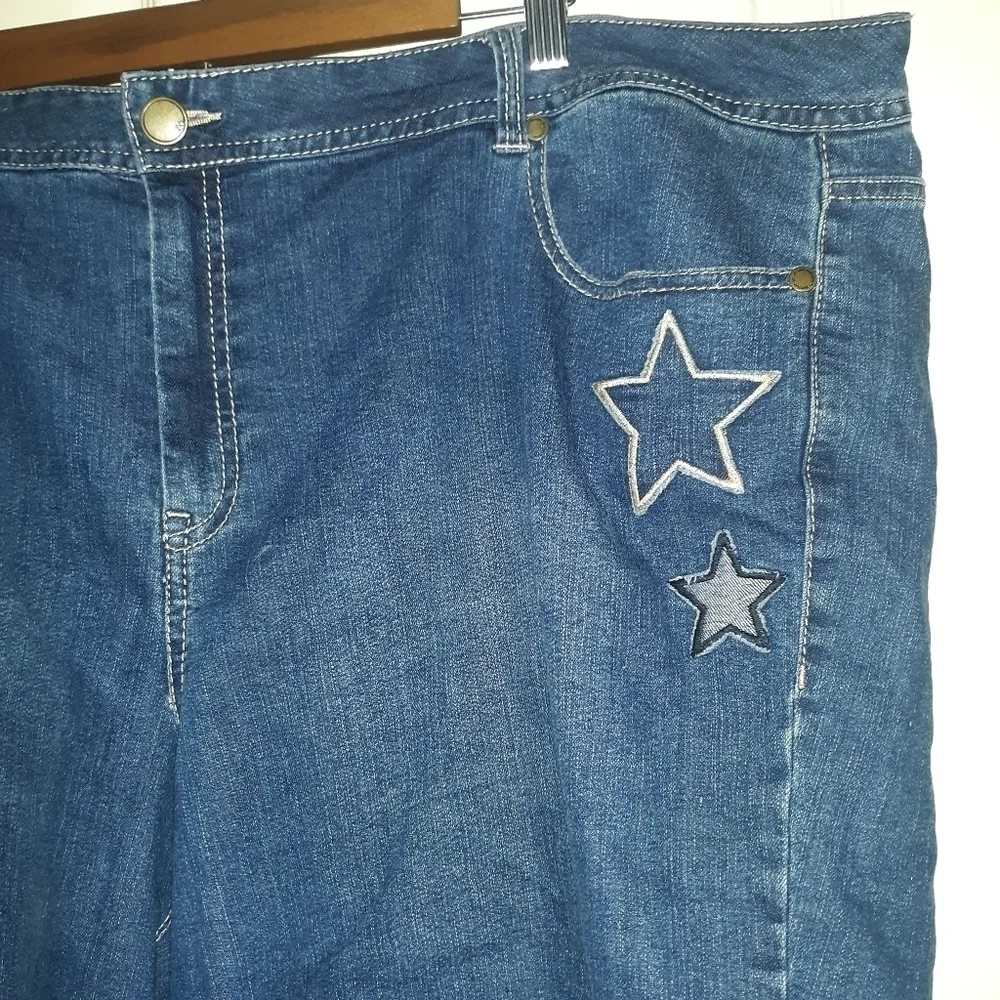 Avenue denim embroidered shorts size 26